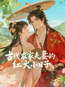 古代農家夫妻的紅火小日子 封面