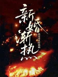 新婚漸熱 封面