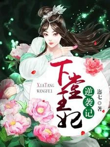 下堂王妃逆襲記 封面