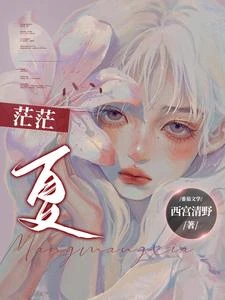 茫茫夏 封面