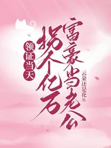 領證當天，撿了個老公回家 封面