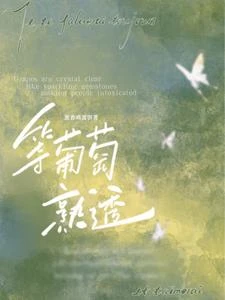 春港夜雨 封面