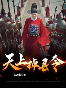 天上掉縣令 封面