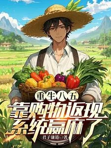 重生八五,靠購物返現系統贏麻了 封面