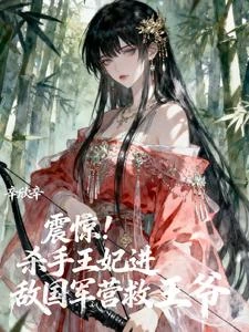 震驚！殺手王妃進敵國軍營救王爺 封面