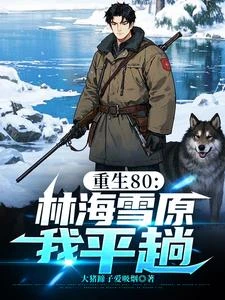 重生80:林海雪原我平趟 封面