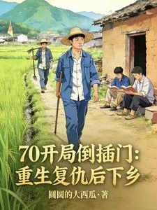 70開局倒插門，重生復仇後下鄉 封面