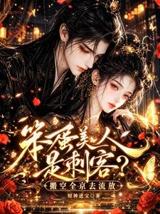天!笨蛋美人是刺客搬空全京流放 封面