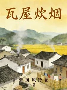 瓦屋炊煙 封面