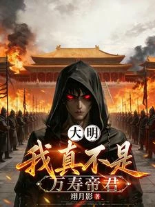 大明：我真不是萬壽帝君 封面
