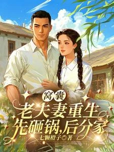 窩囊老夫妻重生:先砸鍋,後分家 封面