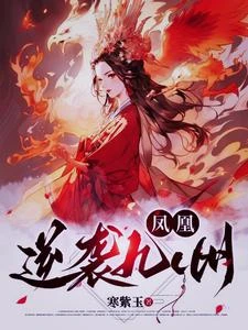 鳳凰逆襲九州 封面